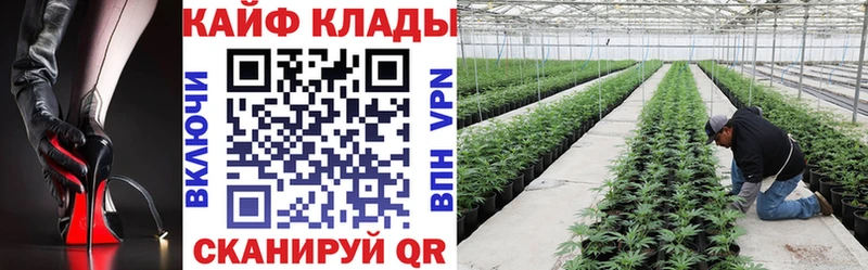 Виды наркотиков купить Вичуга Марихуана  A-PVP  ГАШИШ  Мефедрон  Cocaine 