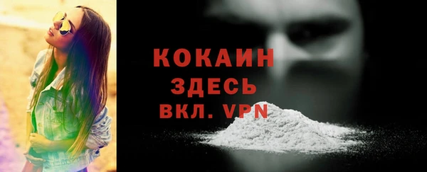 сатива Медвежьегорск