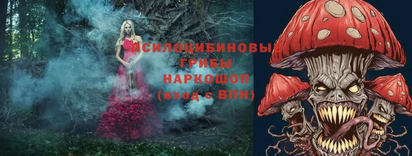 spice Медногорск