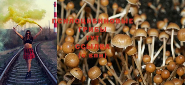 каннабис Богданович