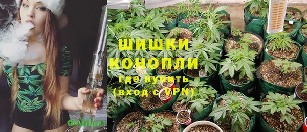 каннабис Богданович