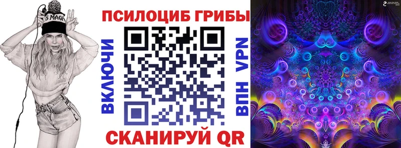 купить наркотик  hydra как зайти  Псилоцибиновые грибы Cubensis  Вичуга 