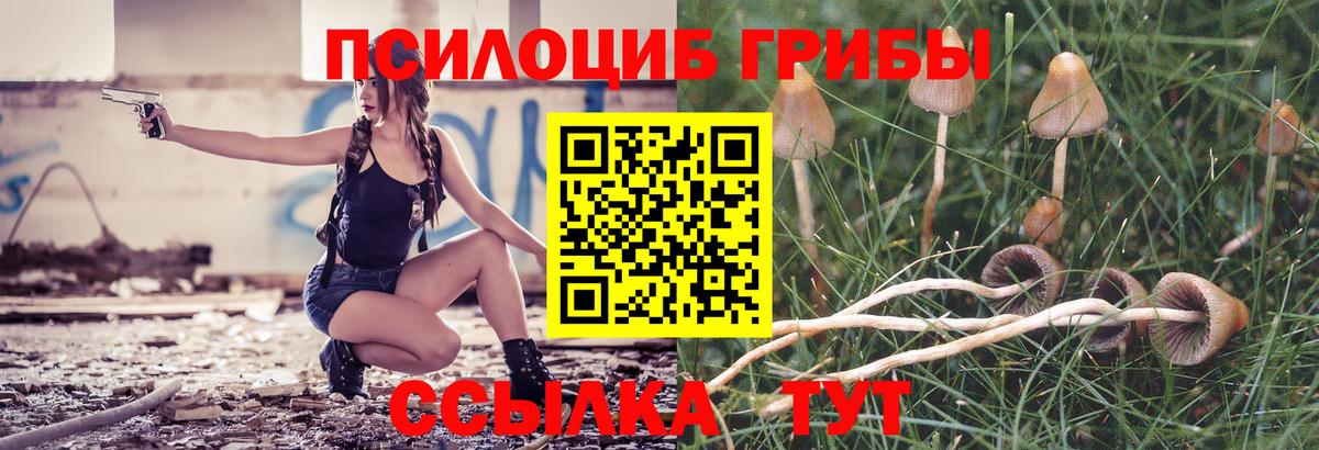 Вичуга  что такое   Вход с VPN  Галлюциногенные грибы Magic Shrooms  Галлюциногенные грибы Psilocybine cubensis 
