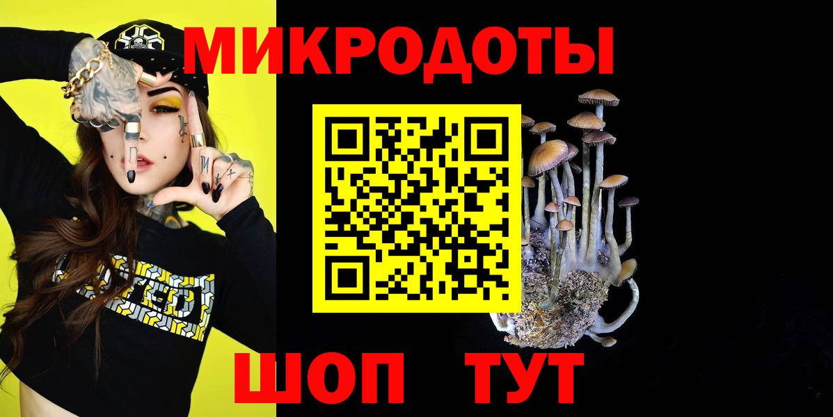 Псилоцибиновые грибы Cubensis  Вичуга  где можно купить наркотик  Галлюциногенные грибы мухоморы 