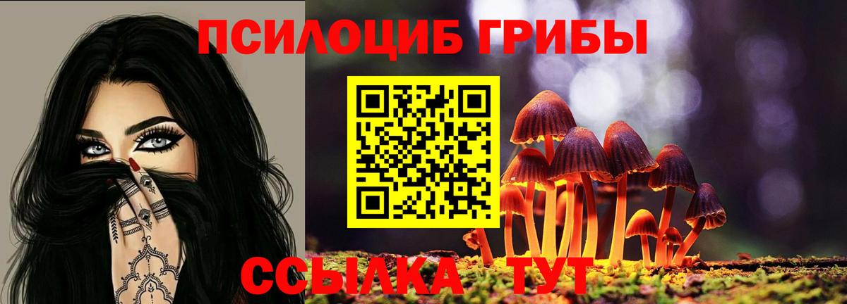 Псилоцибиновые грибы мицелий Вичуга