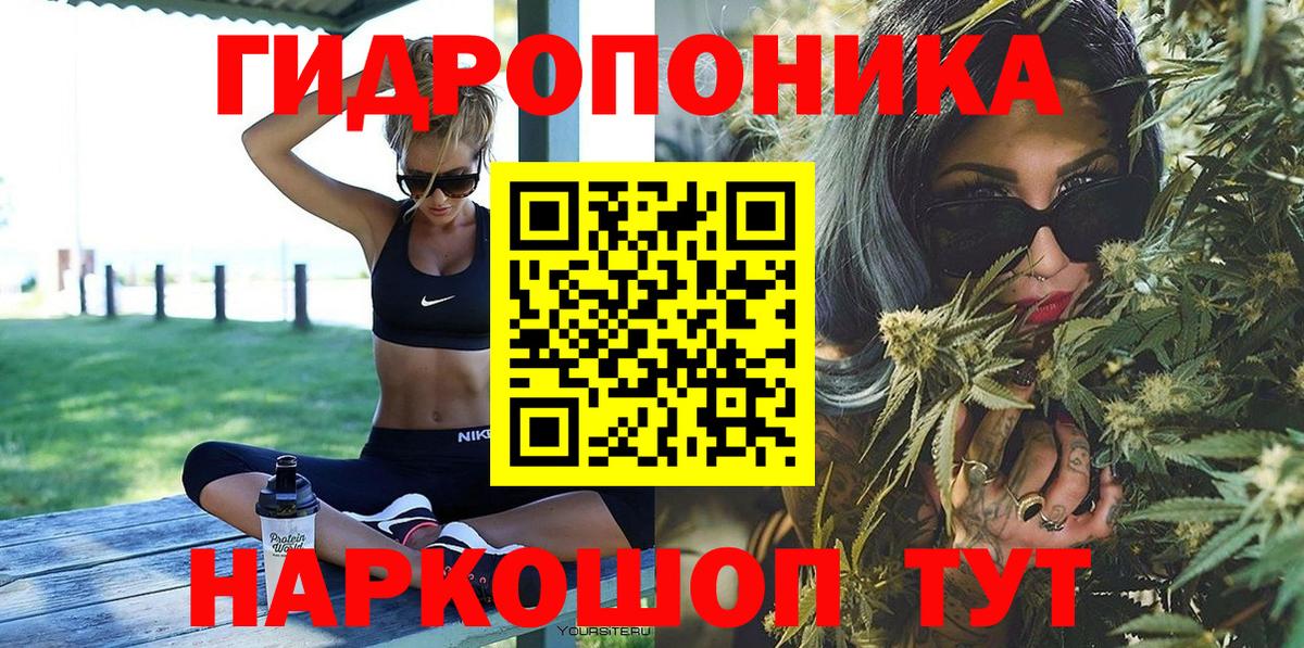Каннабис планчик Вичуга